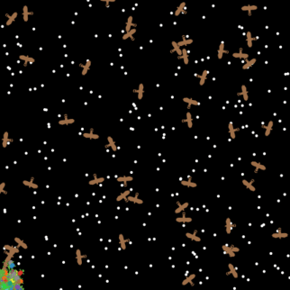 Algoritmo genético depredador